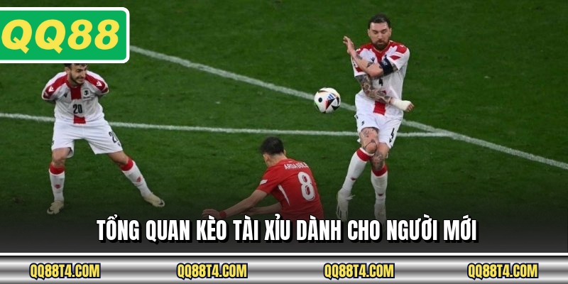 Tổng quan kèo tài xỉu dành cho người mới